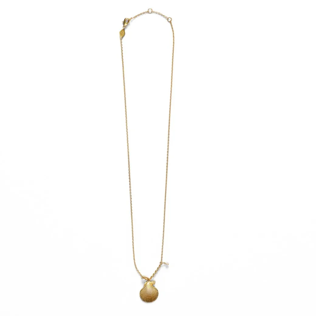 anni_lu_ray_shell_necklac_0.webp ANNI LU RAY SHELL NECKLACE